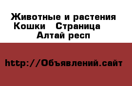 Животные и растения Кошки - Страница 3 . Алтай респ.